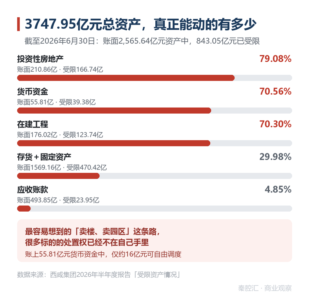 图3 受限资产